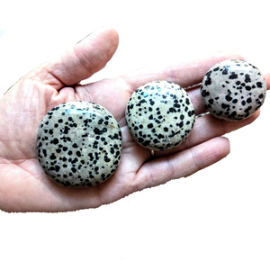 Pierre palmier plat jaspe dalmatien palmier plat cristal pierre précieuse pierre naturelle forme ovale plate pierre de poche Protection grossiste - Product Image 3