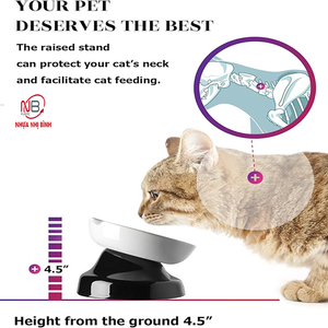 Gamelle pour chien en plastique durable et écologique OEM, support arrondi, design antidérapant, plusieurs couleurs, utilisation en extérieur, voyage, mangeoires pour animaux de compagnie - Product Image 2