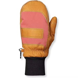 Haute qualité Durable meilleur taux hiver neige hiver gants chaud hommes coupe-vent imperméable pour gants de Ski Top qualité usine taux - Product Image 4