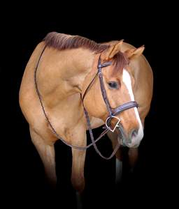 FANTAISIE DÉCORATIVE JUMPING HORSE BRIDLE FABRICANT CHEVAL camouflage à la mode Fantaisie Amovible Brow band bridle - Product Image 4