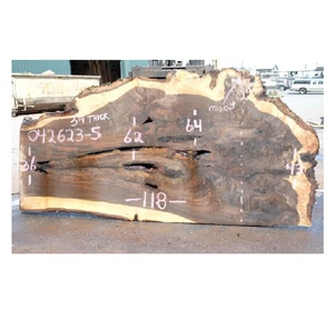 ลูกไม้วอลนัทสีดำคุณภาพพรีเมี่ยมเหมาะสำหรับโครงการภูมิทัศน์และความงามตามธรรมชาติ - Product Image 5