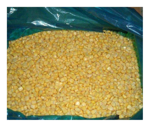 Exportation en vrac de maïs sucré congelé IQF Fournisseurs du Vietnam Produit chaud Vente de maïs congelé Meilleure affaire Maïs d'exportation de forme entière de haute qualité - Product Image 2