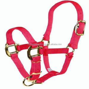Triple <b>Thick</b> Nylon Webbing Many Colors Nylon Horse Halter in Full Cob Oversize Lightweight Custom Made Nylon Racing Halter - Product Image 1