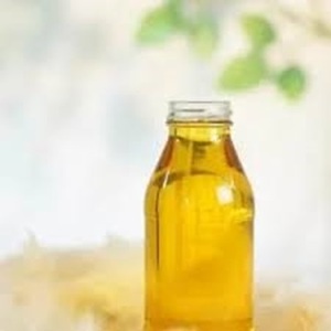 Gran Venta de extracto de semilla de aceite de semilla de Kapok a la venta a los mejores precios asequibles para envío a todo el mundo - Product Image 2