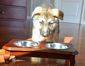 Mangeoire pour animaux de compagnie surélevée de qualité supérieure-Support de luxe en bois massif et 2 bols en acier inoxydable de qualité alimentaire-Améliore la qualité de votre animal de compagnie - Product Image 4