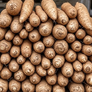 Raíces de ñame orgánicas frescas de granja, ideales para cocinar el procesamiento de alimentos y los mercados globales, gran oferta solo esta temporada - Product Image 2