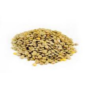 Organic Green <b>Lentils</b> For Sale - Product Image 1