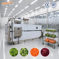 Machine de lyophilisation des légumes en acier inoxydable certifiée CE pour légumes, épinards, brocoli et carottes