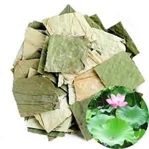 HOJA DE LOTO SECADA A PRECIO DE FÁBRICA, GRAN CANTIDAD DISPONIBLE - Product Image 5