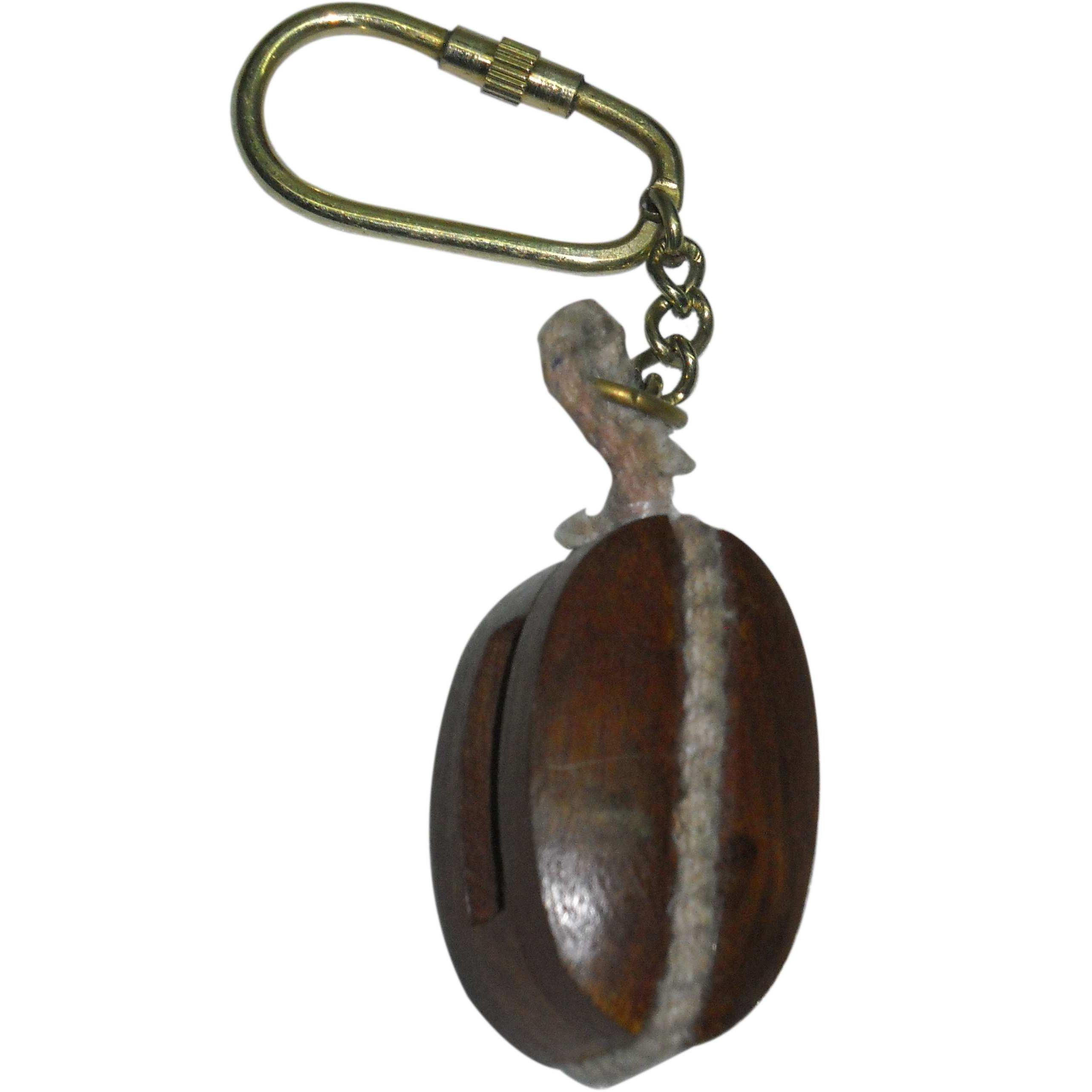 ตามที่แสดง