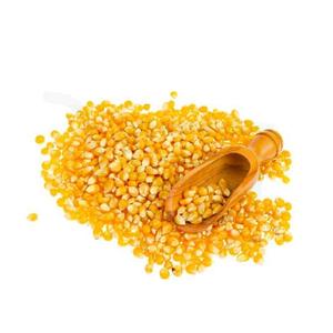 Maíz seco y maíz a precios competitivos - Product Image 4