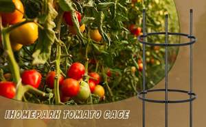 60 cm de haut métal jardin Art treillis fleur Supporter et plante Support Cage piquets pour plantes grimpantes et culture de tomates - Product Image 3
