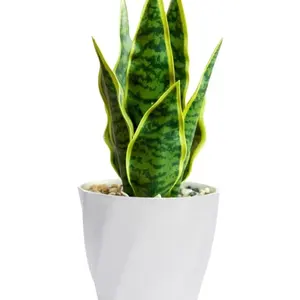 wholesale small plant pot for decord indoor and out door