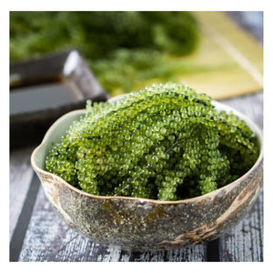 Algues de raisin de mer fraîches de haute qualité 100% sauvages déshydratées, hygiène et sécurité alimentaire, emballage sur demande du client - Product Image 1