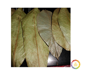 ทุเรียนเทศแห้งจากธรรมชาติทำจากใบกริโอลาในราคาที่ดีจากผู้ผลิตเวียดนามกระบวนการอบแห้งโฆษณา - Product Image 1