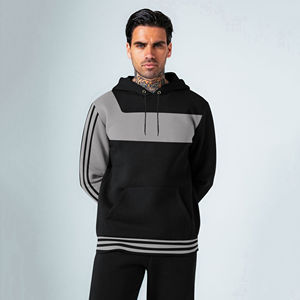 Survêtement décontracté d'hiver pour hommes pull à manches régulières costume 100% coton écologique couleur unie à capuche cou Streetwear coupe-vent - Product Image 2