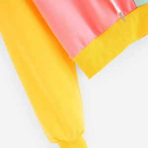 Vente en gros de sweat à capuche pour femmes en coton et polyester avec impression de logo personnalisé sweat à capuche pour femmes crop top sweats à capuche pour femmes - Product Image 4