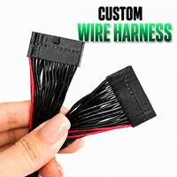 Câble de raccordement PCB Dupont double rangée 2,54 mm, 10, 16, 20, 24, 30, 40 broches, femelle-femelle, sur mesure OEM