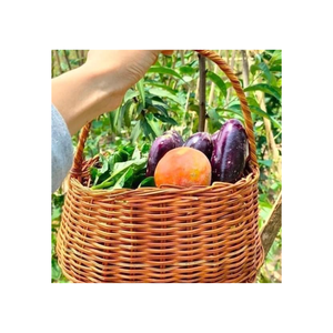 ตะกร้าหวายธรรมชาติจากวัสดุเป็นมิตรต่อสิ่งแวดล้อมผลิตจากเวียดนาม - Product Image 3