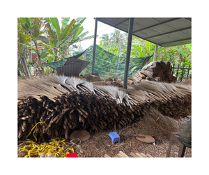 Bâton de balai de noix de coco durable pour le nettoyage de la cour-Bâton de balai de noix de coco écologique direct des fermes Ben Tre de la terre de noix de coco - Product Image 6