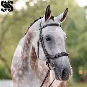 Brida de cuero de alta calidad con diseño ergonómico y costuras elegantes, nueva tendencia, de buen proveedor, con narigueña acolchada y ajuste regulable para entrenamiento. - Product Image 4