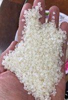 Riz blanc japonais à grains courts de haute qualité 30kg importation en vrac graines certifiées saines fournisseur de qualité à bas prix ANNA D