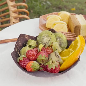 Bols de noix de coco imprimés personnalisés et écologiques de nouvelle conception pour Halloween Bols de smoothie en coquille de noix de coco étoilés uniques du Vietnam - Product Image 4