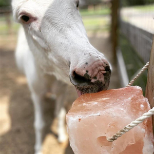 Atacado Himalayan Salt Block Animal Lamber para Cães <span class=keywords><strong>3</strong></span>-5kg Custom OEM Embalagem Venda Quente no Paquistão Animal Lamber Sal - Product Image 5