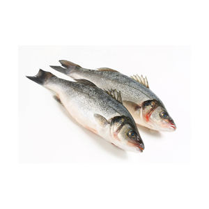 Pescado de Lubina en Grandes Cantidades Disponible a Precios con Descuento para Procesamiento de Mariscos Congelados - Product Image 6