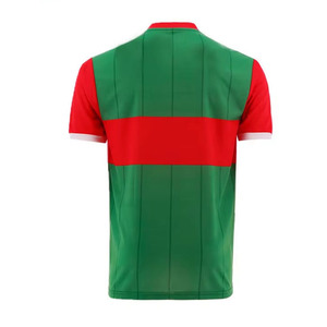 Camiseta Gaélica GAA de la Marca VENTURA, Impresa, 100% Poliéster, Ligera, Transpirable, Absorbente de Sudor, Alta Calidad, Servicios OEM/ODM Directos - Product Image 5