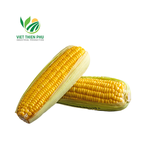 OFERTA CALIENTE MAÍZ CONGELADO DE ALTA CALIDAD, 100% NATURAL DE VIETNAM - Product Image 1