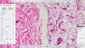 Microscope vidéo numérique monoculaire BestScope BS-1080BL3DHD6 LCD 2D/<span class=keywords><strong>3D</strong></span> avec vue latérale 2D ou <span class=keywords><strong>3D</strong></span> à 360° °   Observation de la rotation. - Product Image 3