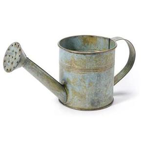 Arrosoir galvanisé en métal argenté de qualité supérieure Design élégant de grande taille et poli pour le jardin et l'extérieur - Product Image 1