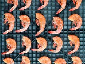 CAMARONES SECOS PREMIUM - SABOR NATURAL A MARISCOS, LIMPIOS Y PROCESADOS CUIDADOSAMENTE - Product Image 5