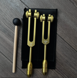 Mars Manufacture 93.96hz Schumann avec Atténuateur Extender avec Embout de Massage en Cristal.. - Product Image 6