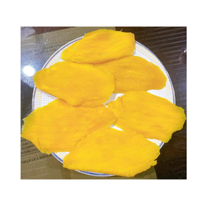 Prix d'usine direct Tranches de mangue séchée fraîche de haute qualité Snack de fruits secs tropicaux du Vietnam - Product Image 6