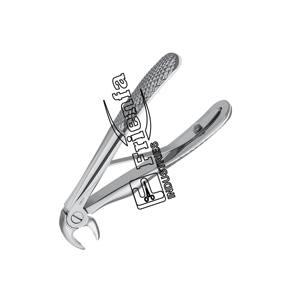 Fórceps de extracción Molares inferiores Patrón inglés Klein #5 Instrumentos Fabricantes hechos de acero inoxidable alemán de alta calidad - Product Image 2