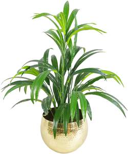 Galvanized Round Planter <b>for</b> Outdoor <b>Garden</b> Decoration Metal Handmade Planter <b>for</b> Plants Christmas Decorative Planter & Pots - Product Image 5