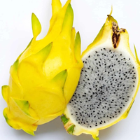 FRUIT DE DRAGON JAUNE DE HAUTE QUALITÉ/BON MARCHÉ