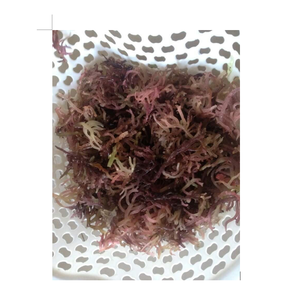 มอสทะเลสีทองทำเจล - Product Image 6