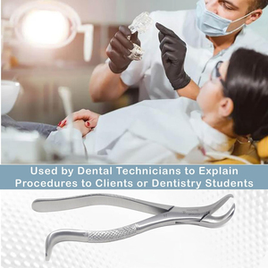 Fórceps de extracción de dientes dentales de alta calidad Figura 67 1/2L Terceros molares superiores Herramientas de Cirugía Dental derecha - Product Image 3