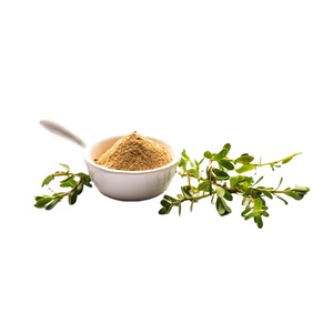 Polvo Brahmi | Bacopa Monnieri, 100% Pure Bacopa Monnieri Extracto en polvo, planta de hierbas Bacopa Monnieri Extracto a precio a granel - Product Image 1