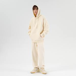 Fabricant de sweats à capuche pour hommes avec logo personnalisé poids lourd 500GSM Sweats à capuche vierges 100% coton surdimensionnés pour hommes - Product Image 2