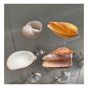 Tasse à vin de coquillage faite à la main verre de conque naturel verres écologiques pour les repas de mariage et de villégiature - Product Image 1