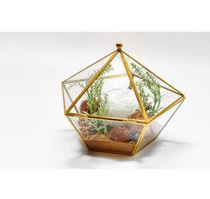 Best Quality <b>Glass</b> Terrarium For Wholesale Price <b>Glass</b> <b>Vase</b> Plants Storage Dining Room Decor <b>Glass</b> Terrarium . - Product Image 4