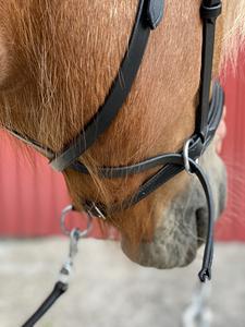 บังเหียนม้าหนังแท้ Rub International รุ่น 0786 ออกแบบเองได้ พร้อมบิตแบบ Snaffle สีและขนาดตามสั่ง - Product Image 3