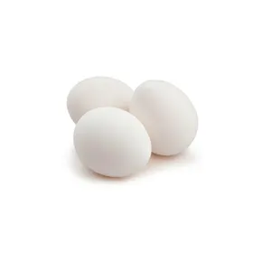 Uova da tavola con guscio bianco di pollo biologico fresco da fattoria |