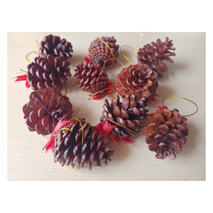 โคนต้นสนวัสดุธรรมชาติสำหรับตกแต่งเทศกาลคริสต์มาสจากเวียดนาม - Product Image 6