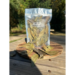 ใบ soursop แห้ง /graviola/annona muricata/guanabana แห้ง/สมุนไพรใบ guayabano - Product Image 3