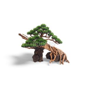 Vente en gros de décorations d'aquarium bonsaï en bois flotté mousse de Java Terrarium Aquascape pour salon Boîte emballée - Product Image 6